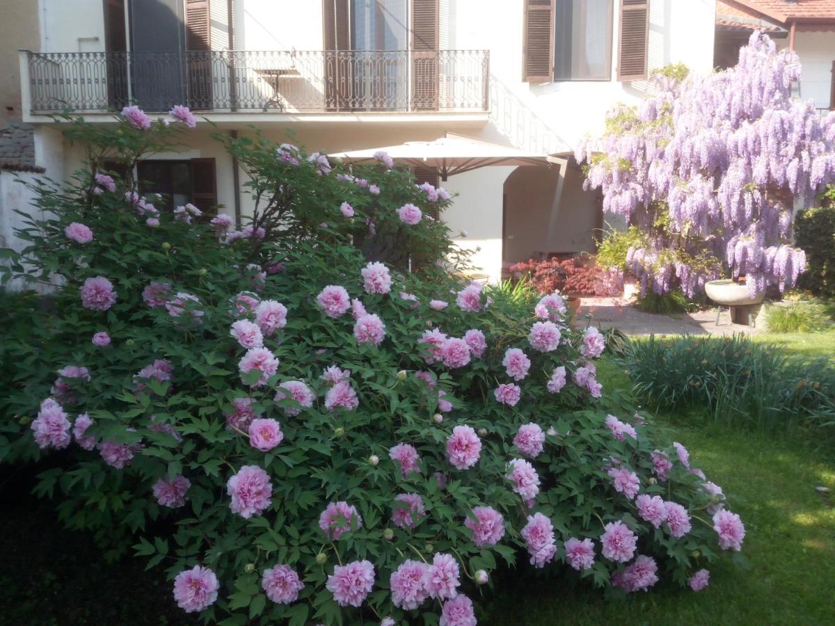 Lapieve Apartman Scalenghe Kültér fotó